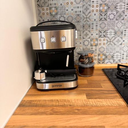 Apartament Jungle Loft Suczawa Zewnętrze zdjęcie
