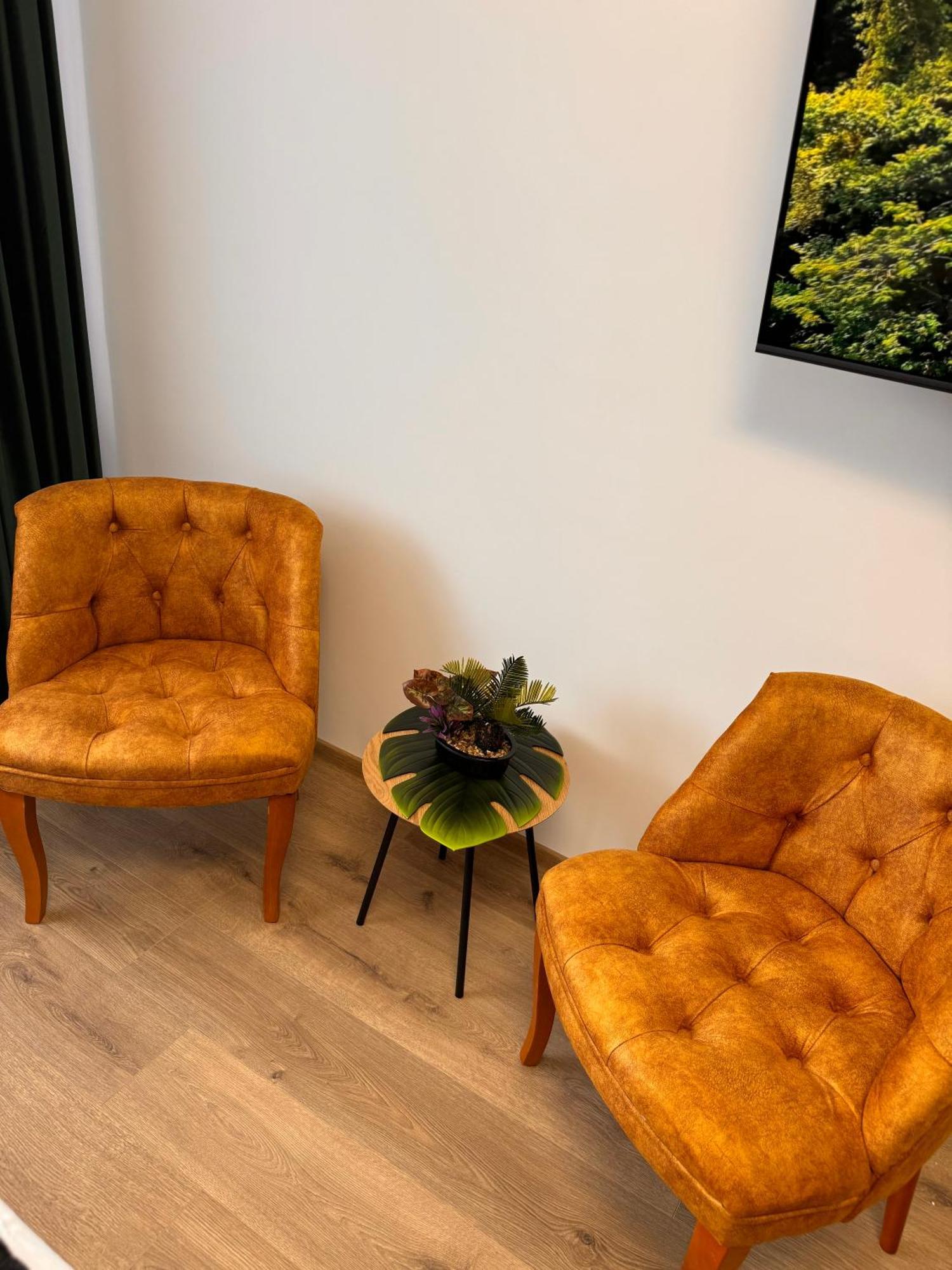 Apartament Jungle Loft Suczawa Zewnętrze zdjęcie