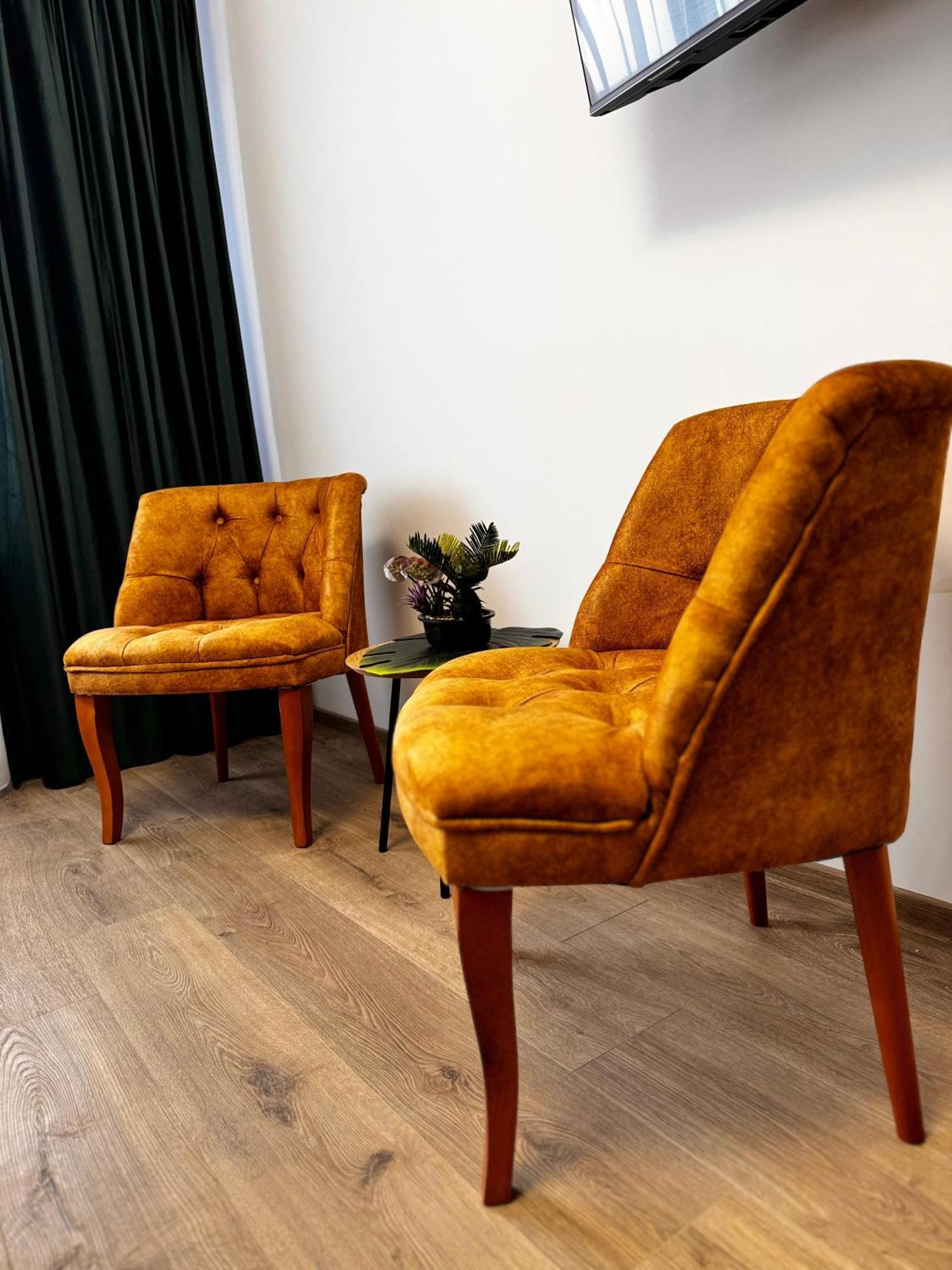 Apartament Jungle Loft Suczawa Zewnętrze zdjęcie