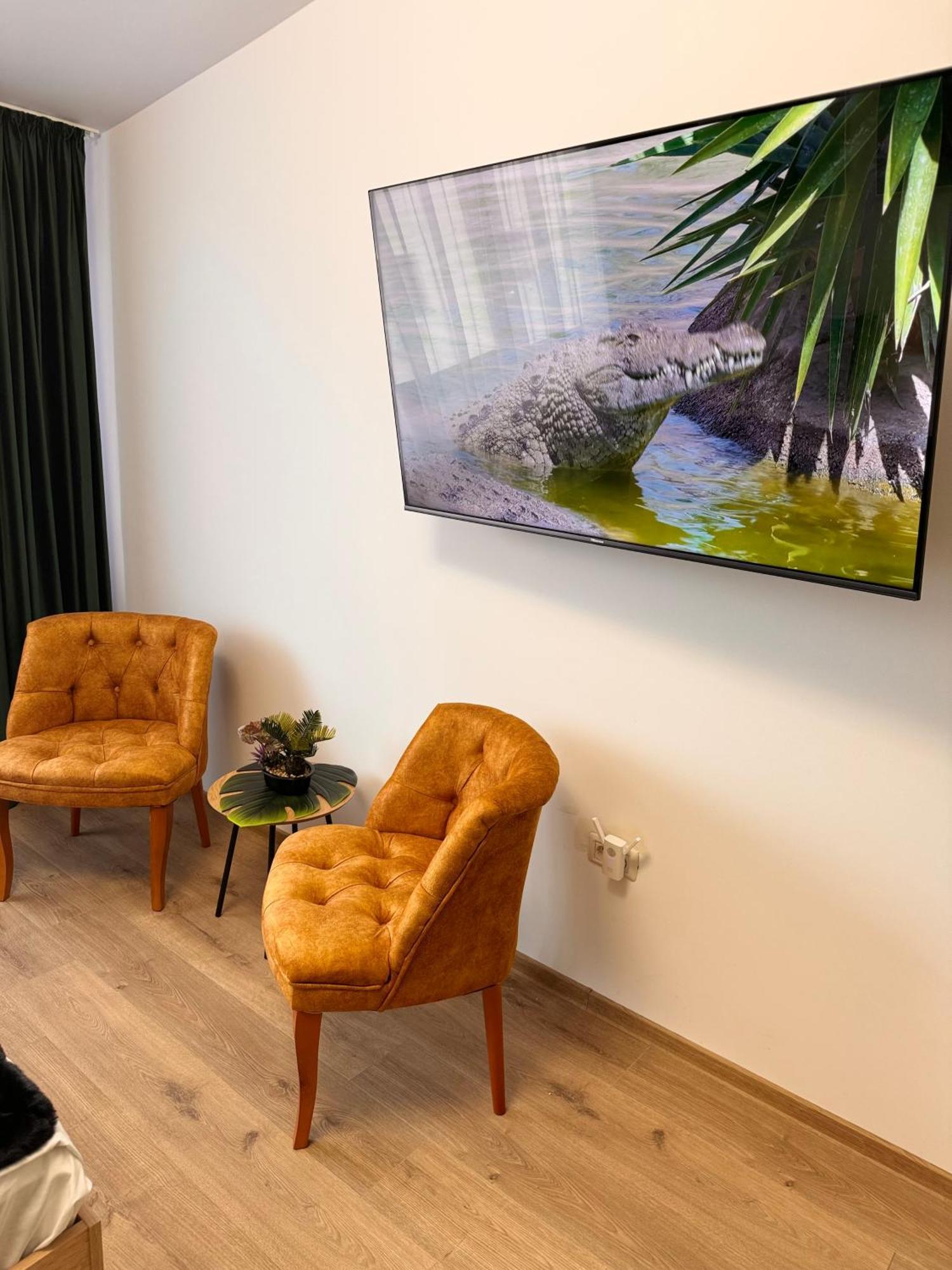 Apartament Jungle Loft Suczawa Zewnętrze zdjęcie